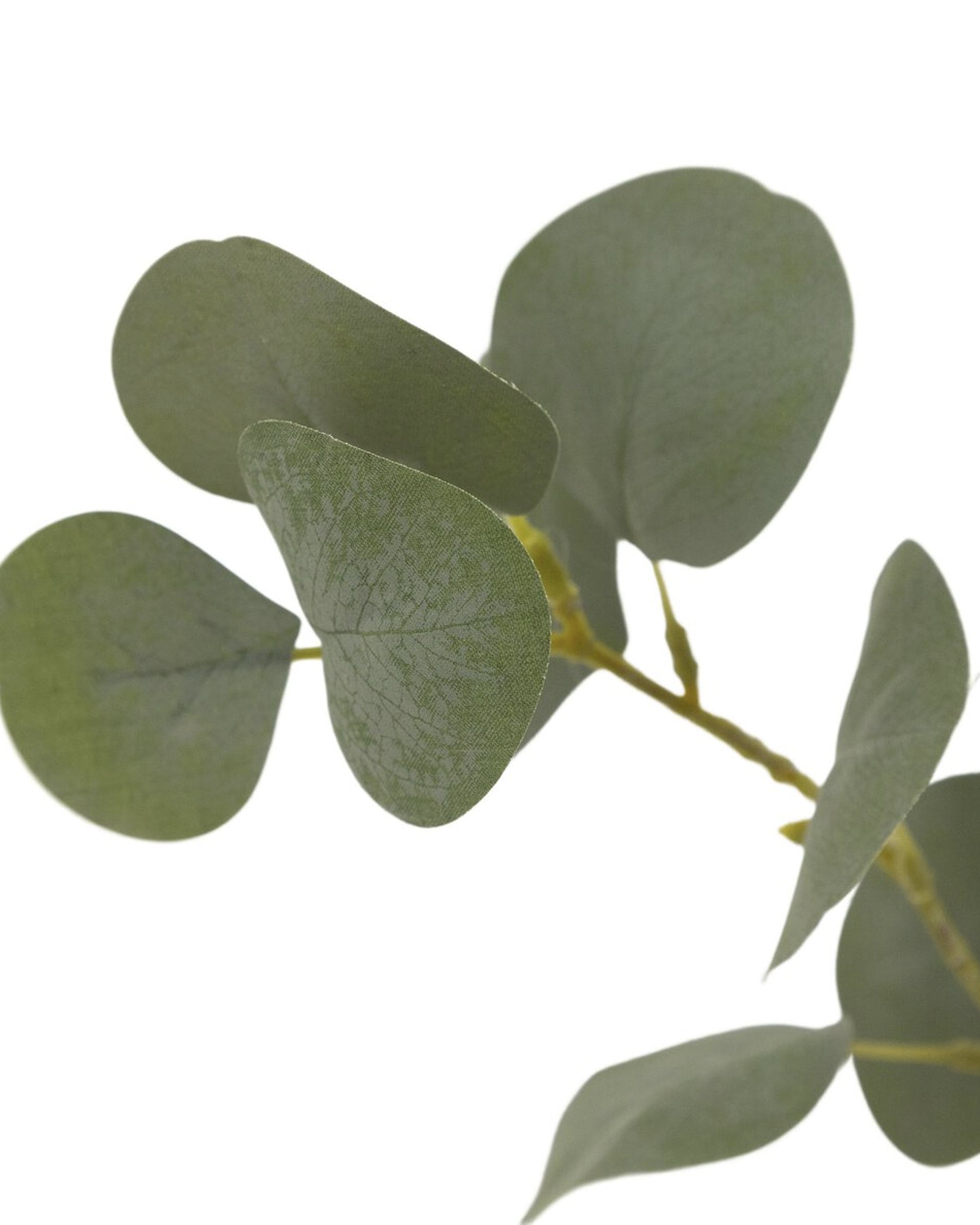 Faux Eucalyptus Tree – The Vintage Rug Shop
