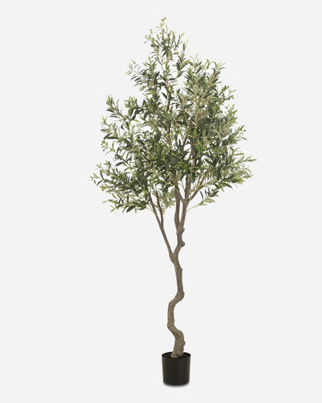 Faux Olive Tree