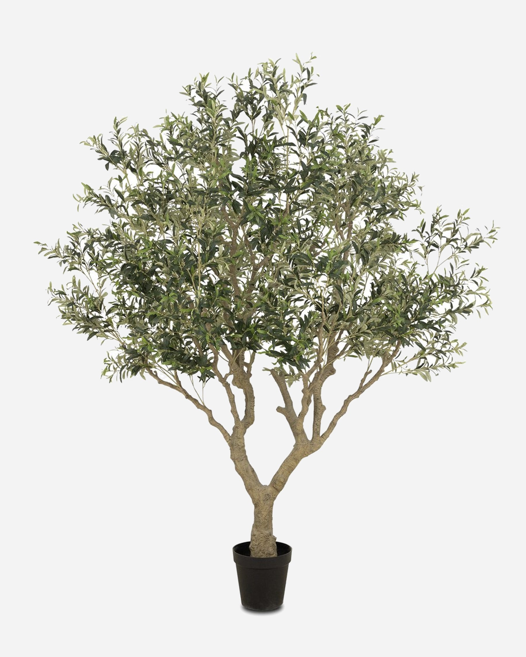 Wild Faux Olive Tree  The Vintage Rug Shop