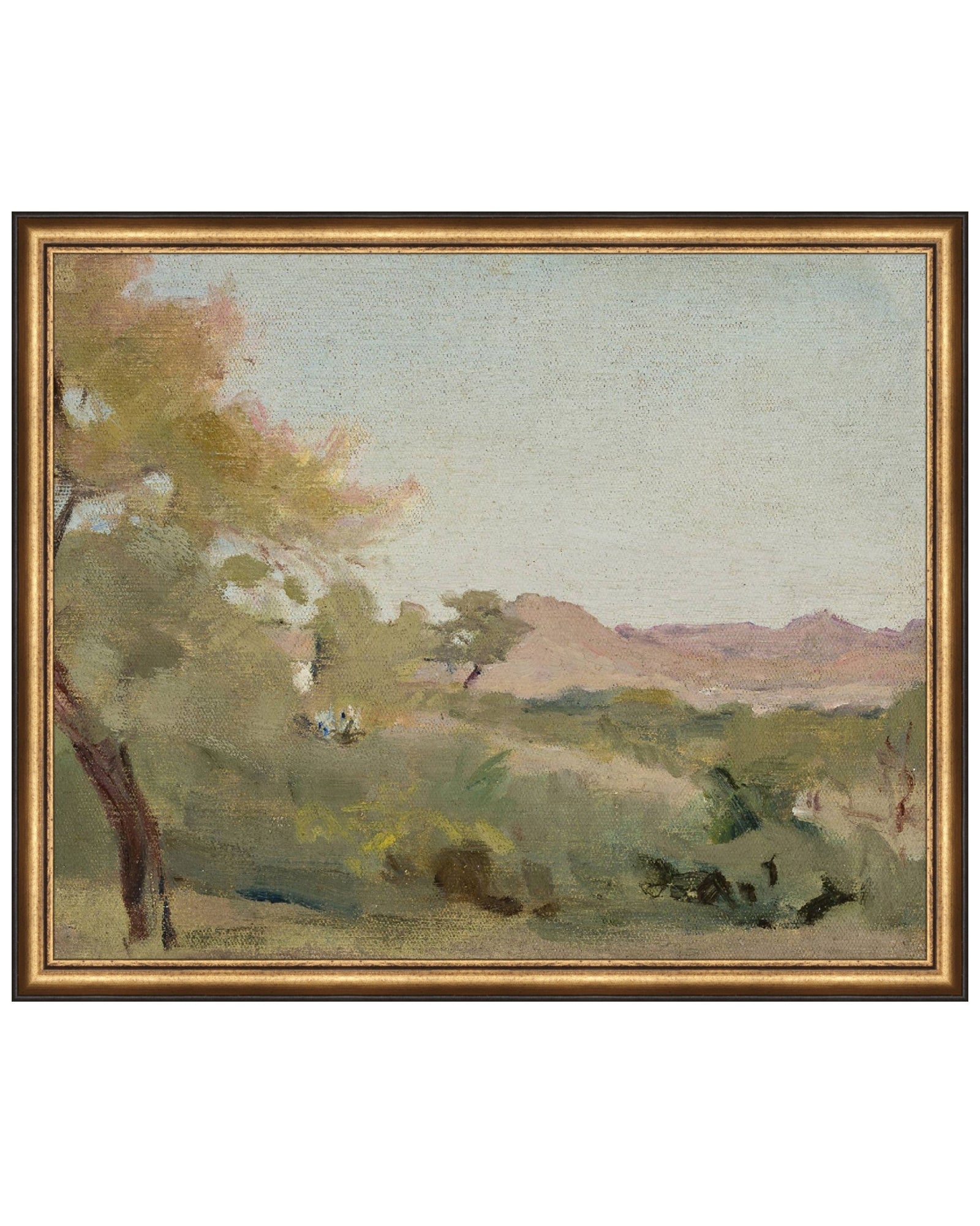 Tranquil Afternoon – The Vintage Rug Shop