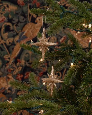 Guiding Light Ornaments - S/2