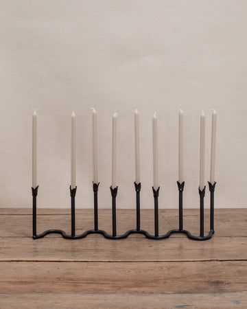 Tulipa Menorah
