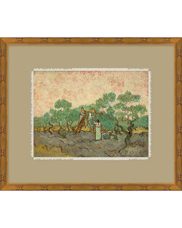 Olive Picking at Sunset